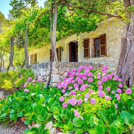 Na Garrovera Pollenca Ngoại thất bức ảnh
